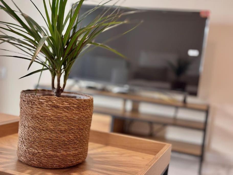 Apartamento En Pleno Centro Con Aparcamiento Opcional コルドバ エクステリア 写真